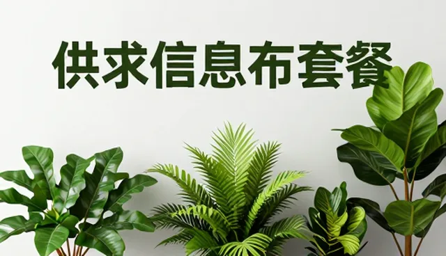 展示效果对供求信息平台选型的关键影响